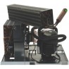 265006 NECTA