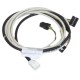 0V2651 NECTA