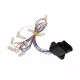 H16300014 Damian